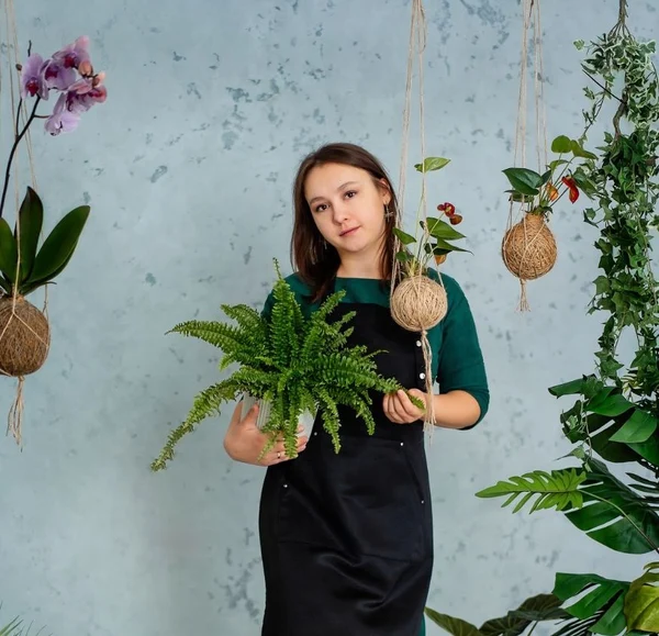 Озеленение помещений