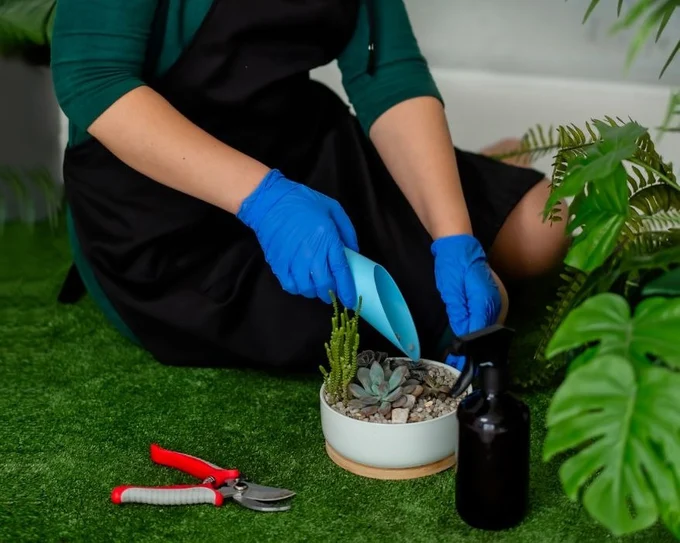 Сервисный уход