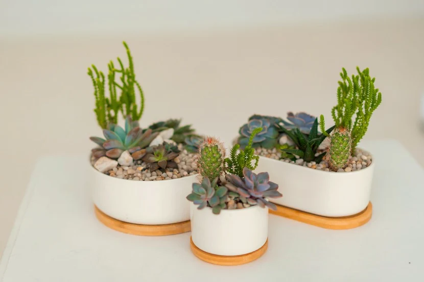 Напишите нам